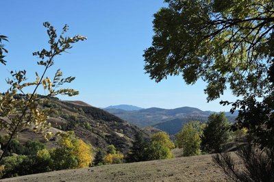 Les hautes Cévennes