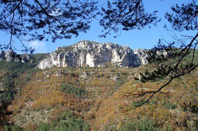 Voyage entre Gorges et Causse, au pays des vautours