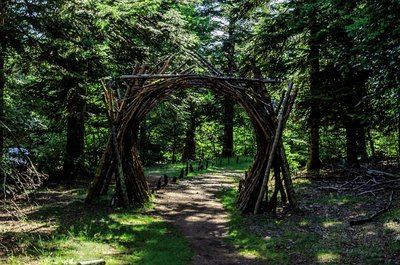Les Balcons de l'Aigoual - Parcours Landart
