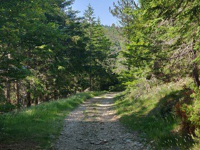 Tours de l'Espérou (Trail)