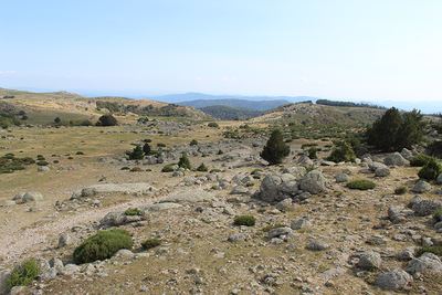Vallée de Gourdouze - Trail n°21