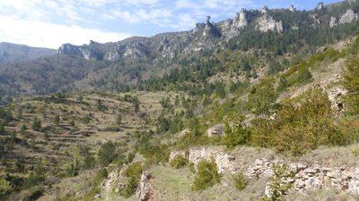 Variante courte des couronnes par Grimoald