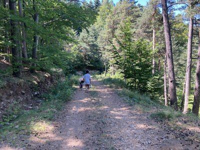 Sentier du Mas de l'Ayre