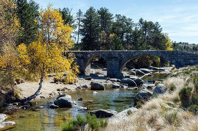 Le Pont du Tarn par Masméjean