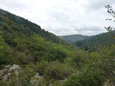 L'arborétum de la Vis