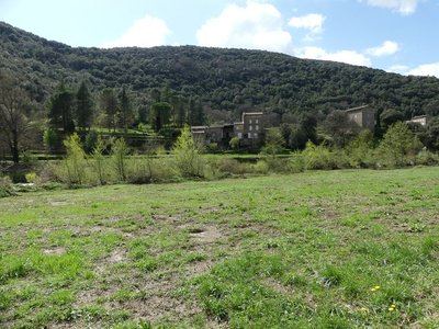 Les berges du Gardon