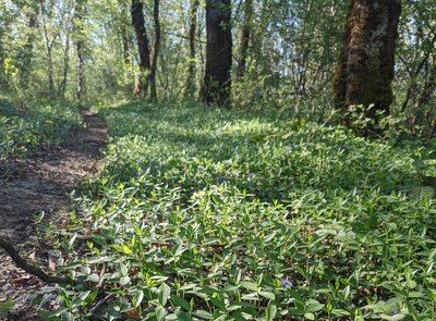 Sentier des dolines