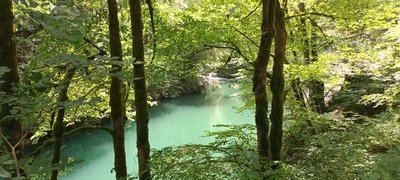 Aiguillons de Brasse