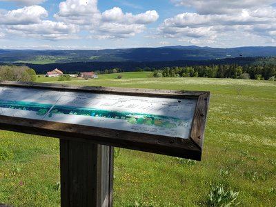 Crêt Monniot par la Chaux