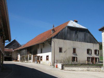Le berger des vaches