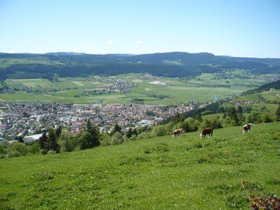 Mont-Vouillot depuis Morteau N°26