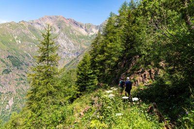 Combe Oursière