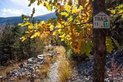 Trail N°17 - La Balade du pêcheur