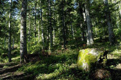 Sentier des Pyramides
