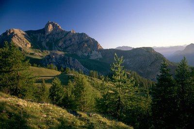 Trail N°14 - Maxi Goureng