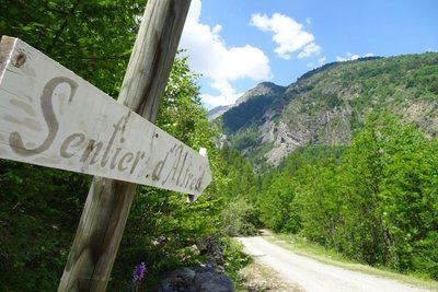 SENTIER THÉMATIQUE : Le Bois de Monsieur Alfred