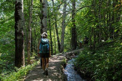 Le sentier des canaux
