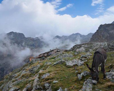 Le refuge Évariste Chancel depuis La Grave