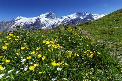 Serre Bernard par la Berche
