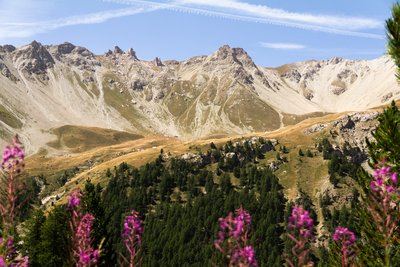 Sentier pédagogique de la Taure dans la réserve biologique du bois des Ayes