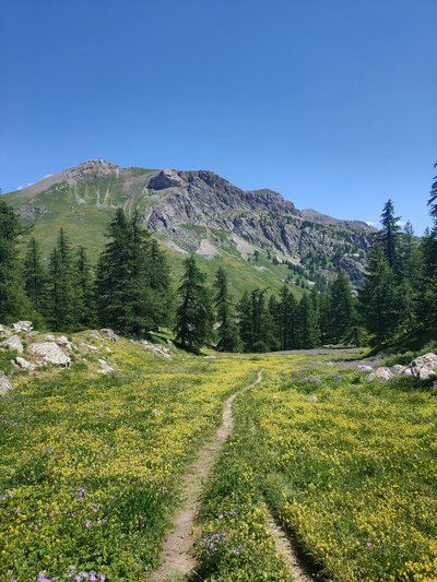 La Croix d'Aquila