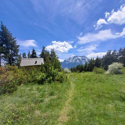 Trail N°09 - Bois de France