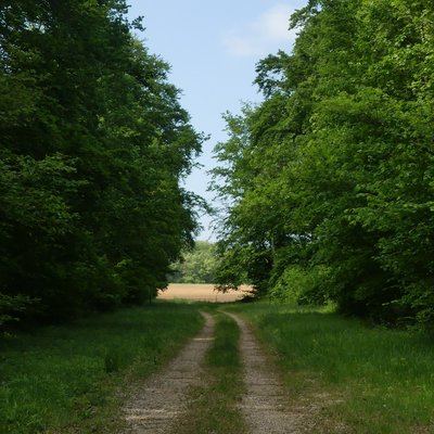 Le signal de Saint-Loup