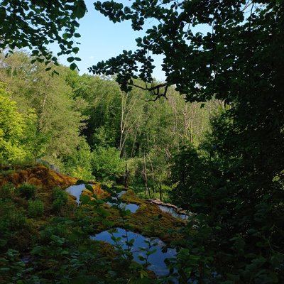 Sentier de découverte de la tufière de Rolampont