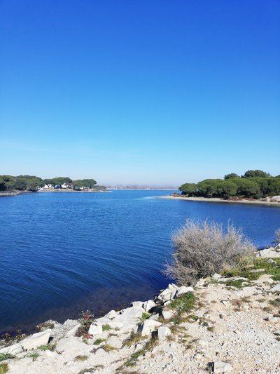 Balade La Pinède du Ponant