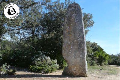 Randonnée Le Menhir, les Concluses