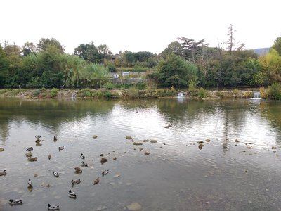 Balade à la découverte du patrimoine hydraulique de Quissac: Un Fleuve et ses Hommes
