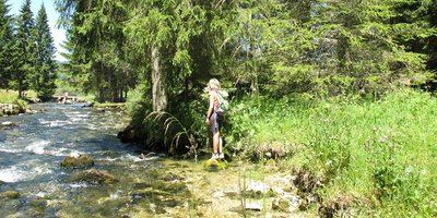 De Mouthe à la Source du Doubs
