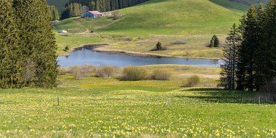 Les Hautes Combes - 19N