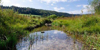 Sur les Eaux - 7B