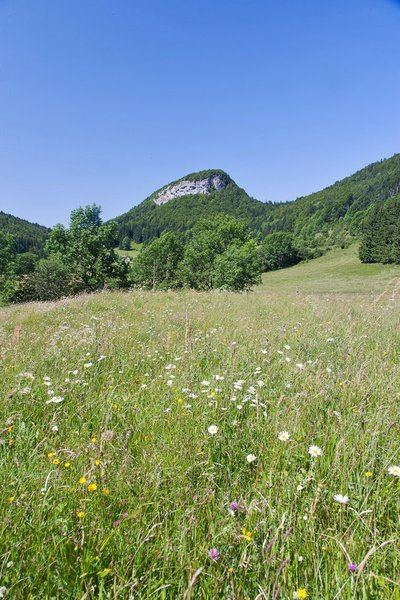 Le Mont Fier