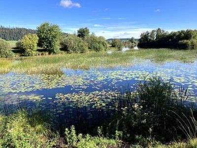 Sentier d’interprétation de la réserve naturelle nationale du lac de Remoray