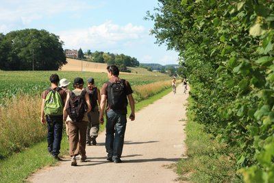 Visioguide Rollon le marcheur