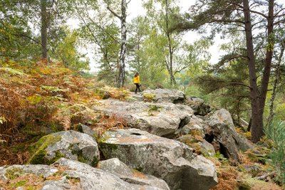 Forêt de Rambouillet et rochers d'Angennes