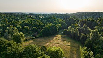 Grosrouvre entre Clairière et Forêt Royale