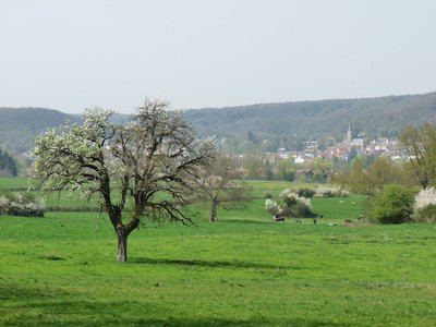 Balade autour de Chevreuse