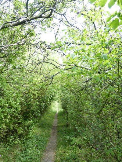 Sentier d'interprétation de la Réserve naturelle nationale des Coteaux de Seine