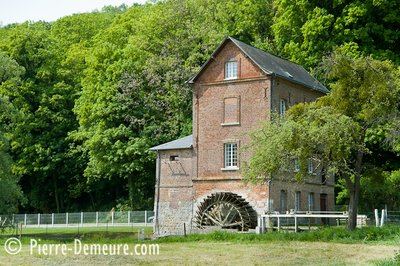 Dans bois et plaines