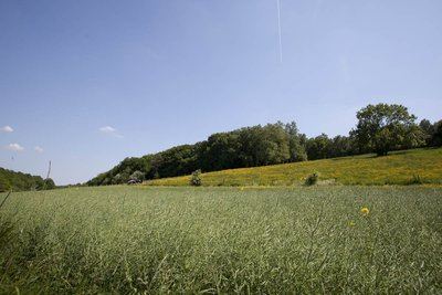 Le chemin des écoliers