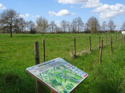 La promenade de la zone humide de Panzoult