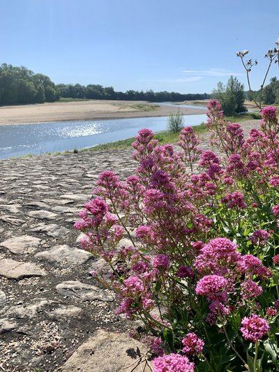 Circuit de randonnée : Perspective de Loire