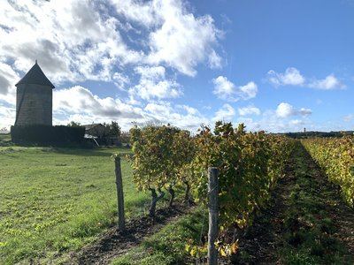 Circuit de randonnée : Vignes et bois