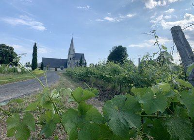 Circuit de randonnée : Parnay, entre Loire et coteaux