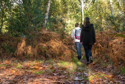 Circuit de randonnée : Entre Neuillé et Blou