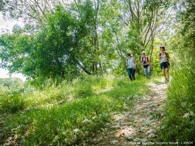 Chemin de l'été de Saint-Martin : étape de Saint-Patrice à Langeais