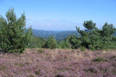 La Lande du Puy Raynaud